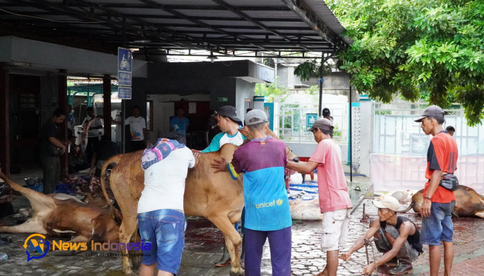 PLN UP3 Madura Salurkan 1.838 Kantong Daging Kurban » News Indonesia