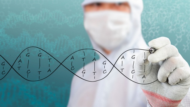 Gen Hibernasi Ini Disebut Bisa Buka Kekuatan Tersembunyi Manusia