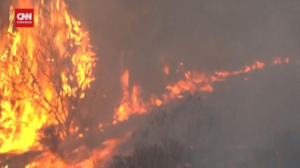 Kebakaran Hutan Turki, Ratusan Orang Dievakuasi
