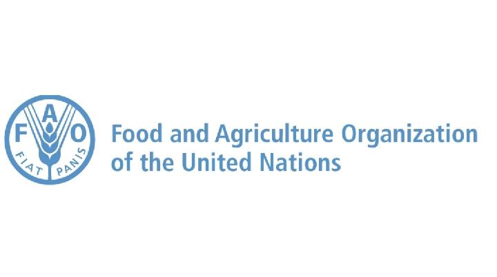 FAO Umumkan Indeks Harga Pangan Global Kembali Naik