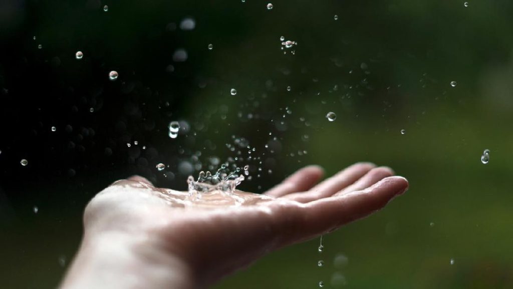 Lirik Lagu November Rain – Guns N’ Roses dan Artinya